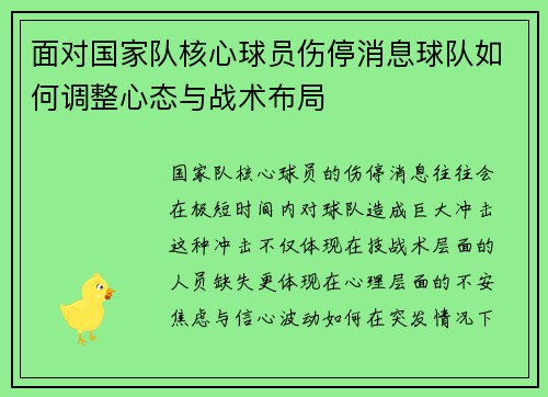面对国家队核心球员伤停消息球队如何调整心态与战术布局